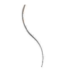Double-Curved Post-Mortem Needle