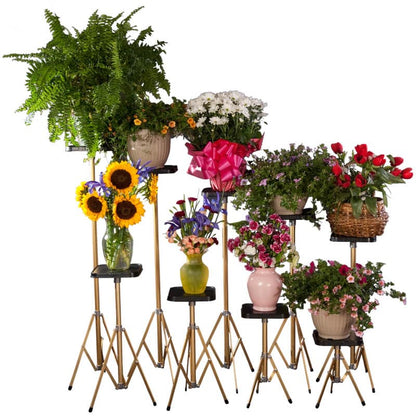 Value Bundle 9 Gold Stands w/8" Tops