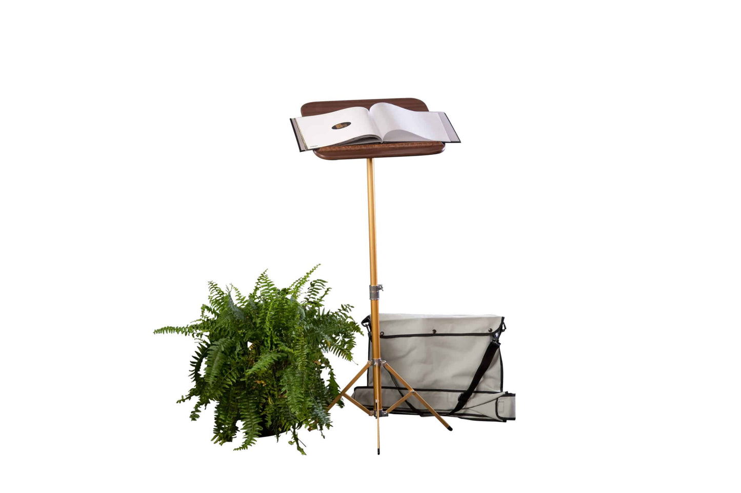 Portable Adjustable Register Stand