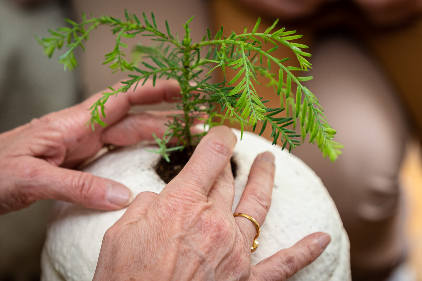 EarthRise Urn™